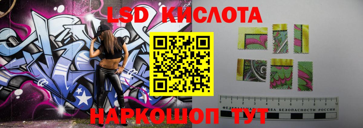 блэк спрут ТОР  Вход с VPN  Губкин  ЛСД экстази кислота  ЛСД экстази кислота 