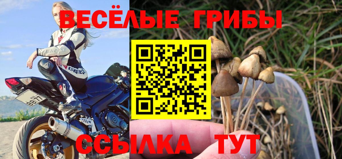 Губкин  Вход с VPN  МЕФ кристаллы  ГАШ  ГАШ  КОКАИН  LSD-25 
