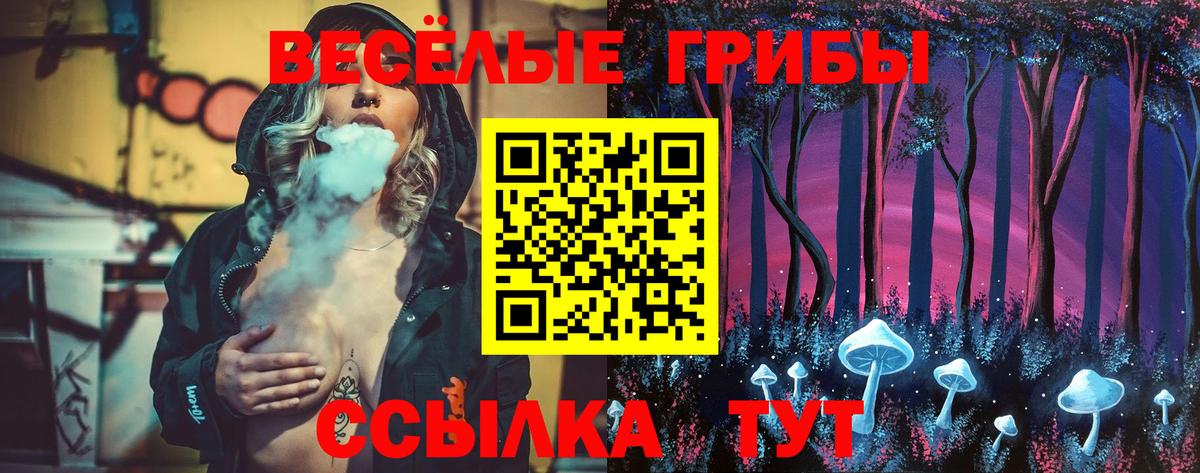 Губкин  Псилоцибиновые грибы Psilocybine cubensis  Вход с VPN  Псилоцибиновые грибы Cubensis 