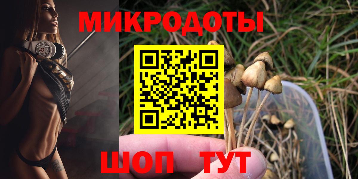 Галлюциногенные грибы Psilocybe Губкин